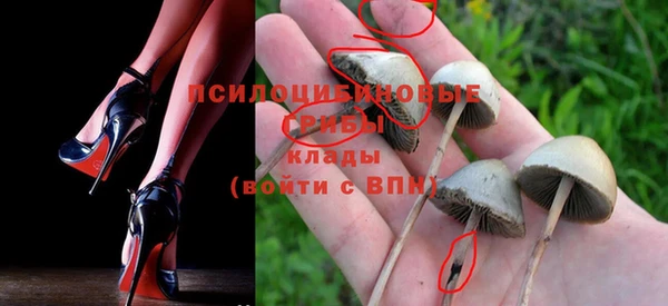 дмт Липки