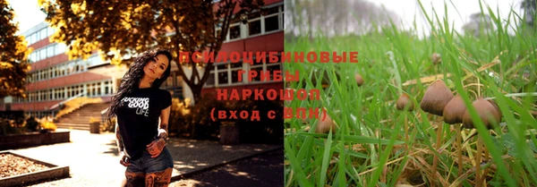 спиды Алексеевка