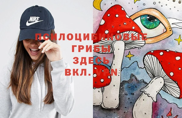 спиды Алексеевка